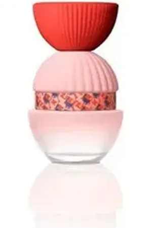 El ganso Körperpflegeduft FUN & CHIC edp vapo 100 ml