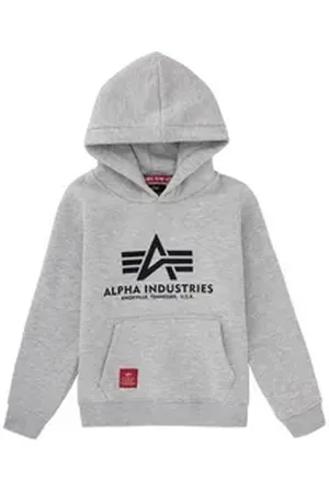 Alpha Industries Hoodie Kids - Hoodies Basic Hoodie Kids/Teens grau 16