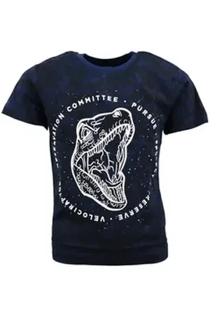 Jurassic World Print-Shirt Kinder T-Shirt Jungen Dinos Gr. 134 bis 164 blau 164