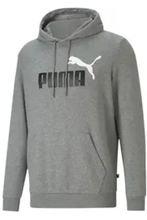 PUMA Kapuzenpullover Herren Kapuzenpullover ESS+ 2 Col Big Logo Hoodie TR 586765 grau S