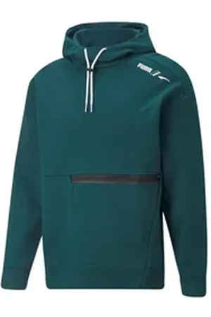 PUMA Kapuzenpullover Herren Kapuzenpullover RAD/CAL Hoodie DK 849779 grün S