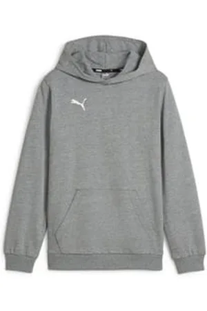 PUMA Hoodie teamGOAL Casuals Hoody Jr grau 140