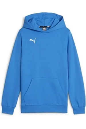 PUMA Hoodie teamGOAL Casuals Hoody Jr blau 164