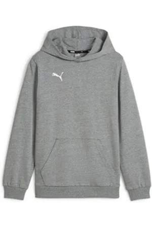 PUMA Hoodie teamGOAL Casuals Hoody Jr grau 164