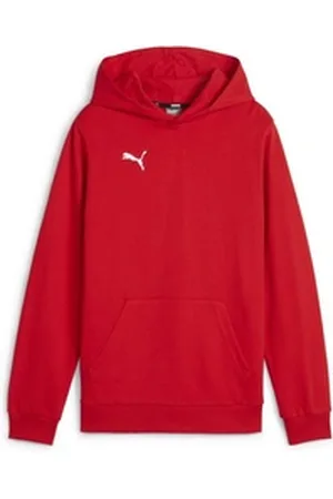 PUMA Hoodie teamGOAL Casuals Hoody Jr rot 164