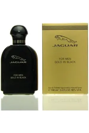 Jaguar Eau de Toilette Gold in Black for Men Eau de Toilette 100 ml