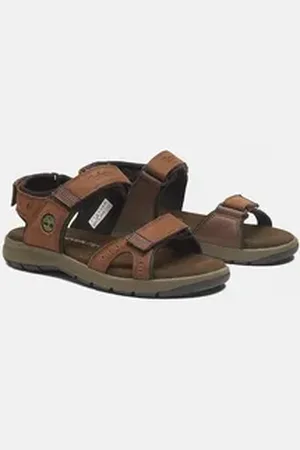 Timberland Governor