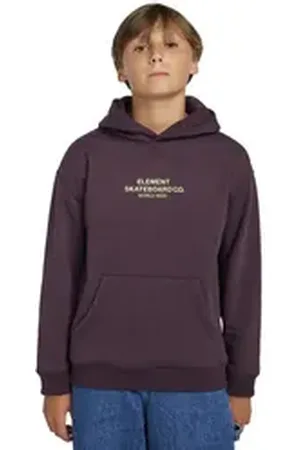 Element Hoodie Skateboard lila 8(125-130cm)