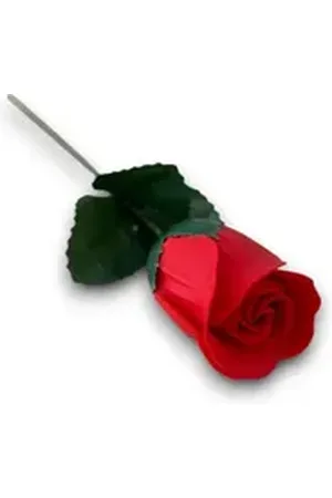 accentra Badezusatz Baderose am Stiel » Seifenrose 4 g » Geschenkidee, 1-tlg., » Badekonfetti als Rose am Stiel rot