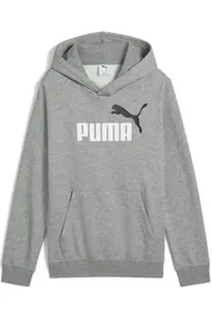 PUMA Kapuzenpullover Kinder Kapuzenpullover ESS 2 COLOR No. 1 Logo Hoodie FL 685822 grau 128
