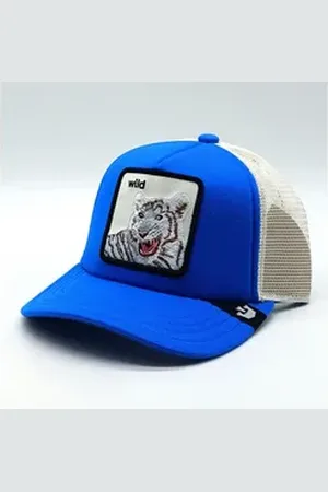 Goorin Bros. Jerseymütze Wild Stripes blue