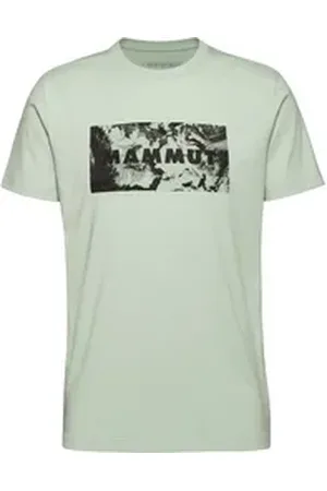 Mammut Funktionsshirt Trovat T-Shirt Men Logo SILVER SAGE L