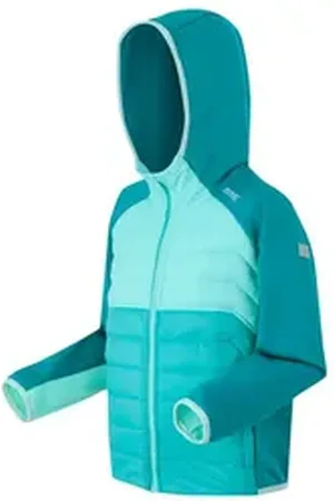 Regatta Softshelljacke Kielder IX Hybrid Jacke grün 176