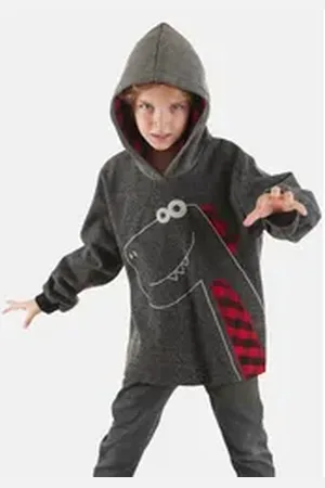 Denokids Kapuzenpullover Check Dino mit Dinosaurier-Stickerei grau 92