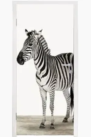 MuchoWow Türtapete Zebra - Mädchen - Tiere - Kinder - Jungen, Matt, bedruckt, (1 St), Türfolie Selbstklebend, Türtapete, Türdeko Poster, 95x235 cm bunt 95 m x 235 m