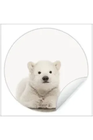 MuchoWow Wandsticker Eisbär - Tiere - Kinder - Weiß - Jungen - Mädchen (1 St), Selbstklebende Runde Vliestapete, Wohnzimmer, 140x140 cm bunt 140 cm x 140 cm x 0.1 cm