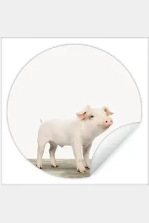 MuchoWow Wandsticker Ferkel - Groß - Tiere - Rosa - Jungen - Mädchen - Kinder (1 St), Selbstklebende Runde Vliestapete, Wohnzimmer, 140x140 cm bunt 140 cm x 140 cm x 0.1 cm