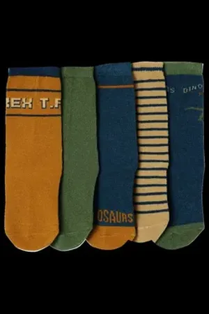 Vertbaudet Socken 5er-Pack Jungen Dino-Socken 5er-Pack beige 35/38