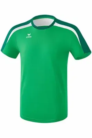 Erima T-Shirt Herren T-Shirt Liga 2.0 grün XXXL