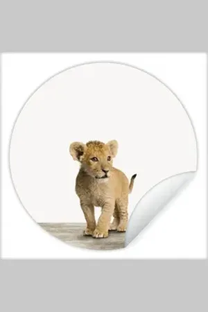MuchoWow Wandsticker Löwe - Junge - Kinder - Jungen - Tiere - Mädchen (1 St), Selbstklebende Runde Vliestapete, Wohnzimmer, 140x140 cm bunt 140 cm x 140 cm x 0.1 cm