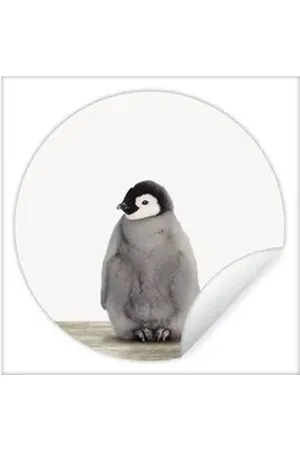 MuchoWow Wandsticker Kinder - Pinguin - Grau - Tiere - Mädchen - Jungen (1 St), Selbstklebende Runde Vliestapete, Wohnzimmer, 140x140 cm bunt 140 cm x 140 cm x 0.1 cm