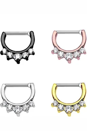 Karisma Nasenpiercing Titan G23 Septum Clicker Segment Ring Nasenring Nasenpiercing, Zirkonia- 1,2x8mm tsc-h10 - Roségold - Verkäufer: Schmuck