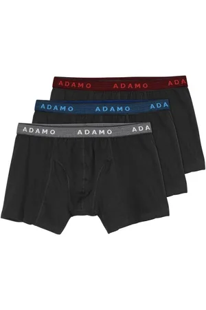 Adamo Retro Pants 3er-Pack XXL Maxipants farbiger Bund (Packung, 3-St., 3er-Pack) - Verkäufer: bigtex