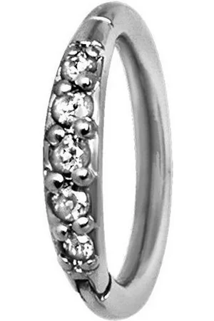 Karisma Nasenpiercing Hinged Segmentring Scharnier Ohrring Nasenpiercing Edelstahl 316 L - Verkäufer: Schmuck