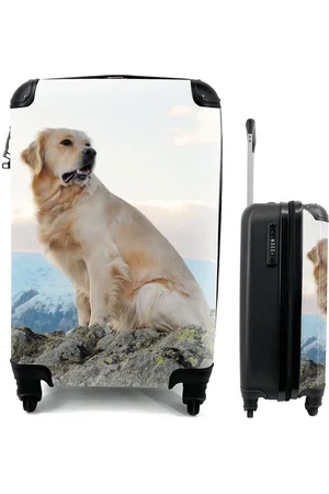 MuchoWow Handgepäckkoffer Ein Golden Retriever sitzt auf den Felsen, 4 Rollen, Reisetasche mit rollen, Handgepäck für Ferien, Trolley, Reisekoffer - Verkäufer: GmbH
