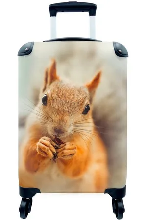 MuchoWow Handgepäckkoffer Eichhörnchen - Wilde Tiere - Porträt, 4 Rollen, Reisetasche mit rollen, Handgepäck für Ferien, Trolley, Reisekoffer - Verkäufer: GmbH