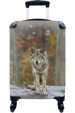 MuchoWow Handgepäckkoffer Wolf - Stein - Wald, 4 Rollen, Reisetasche mit rollen, Handgepäck für Ferien, Trolley, Reisekoffer - Verkäufer: GmbH