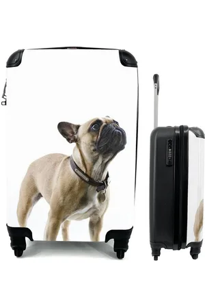 MuchoWow Handgepäckkoffer Französische Bulldogge - Halsband - Braun, 4 Rollen, Reisetasche mit rollen, Handgepäck für Ferien, Trolley, Reisekoffer - Verkäufer: GmbH