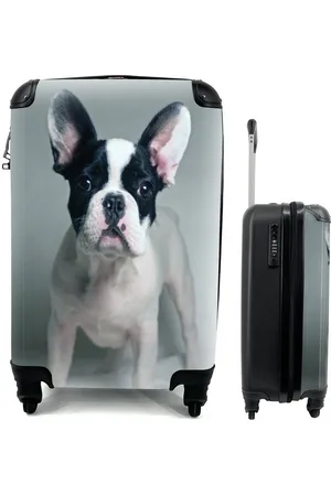 MuchoWow Handgepäckkoffer Französische Bulldogge - Welpe - Weiß, 4 Rollen, Reisetasche mit rollen, Handgepäck für Ferien, Trolley, Reisekoffer - Verkäufer: GmbH