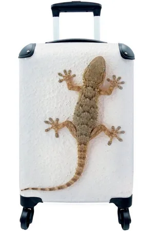MuchoWow Handgepäckkoffer Tarentola-Gecko aus Mallorca, 4 Rollen, Reisetasche mit rollen, Handgepäck für Ferien, Trolley, Reisekoffer - Verkäufer: GmbH