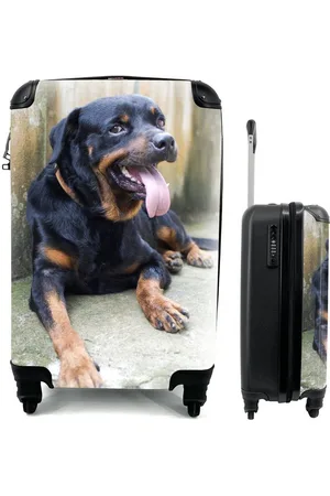MuchoWow Handgepäckkoffer Ein Rottweiler liegt erschöpft neben einem Zaun, 4 Rollen, Reisetasche mit rollen, Handgepäck für Ferien, Trolley, Reisekoffer - Verkäufer: GmbH