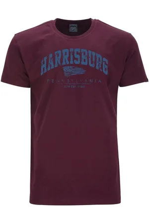 Ahorn T-Shirt HARRISBURG_ATLANTIC BLUE mit modischem Frontprint