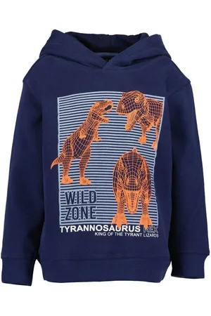 Blue Seven Kapuzenpullover Kinder Jungen Hoodie Dinosaurier mit Print - Sweatshirt mit Kapuze - Verkäufer: tomBrook GmbH