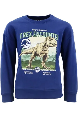 Jurassic World Sweater Dinos Kinder Jungen Pullover Pulli Jungen Pulli 104 bis 152 - Verkäufer: WS-Trend