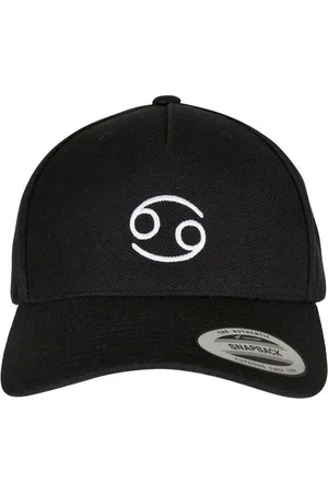Mister Tee Flex Cap Unisex