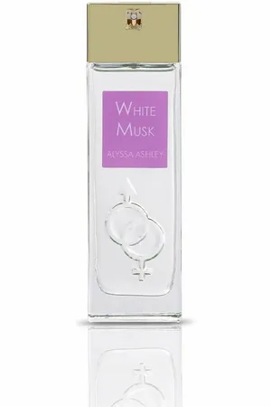 Alyssa Ashley Körperpflegeduft White Musk Eau De Parfum Spray 100ml - Verkäufer: Parfümerie Wilhelm Haas