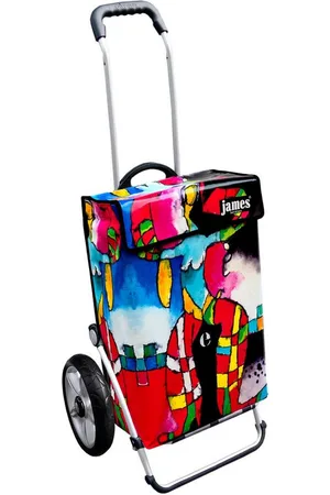 JAMES Einkaufstrolley SUSY - stabiler Einkaufswagen mit individuellem Design, Handmade in Austria - Einkaufsbegleiter mit viel Stauraum - trägt 40kg - Verkäufer: Warenhaus 23