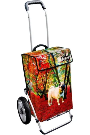 JAMES Einkaufstrolley MOPSI - stabiler Einkaufswagen mit individuellem Design, Handmade in Austria - Einkaufsbegleiter mit viel Stauraum - trägt 40kg - Verkäufer: Warenhaus 23