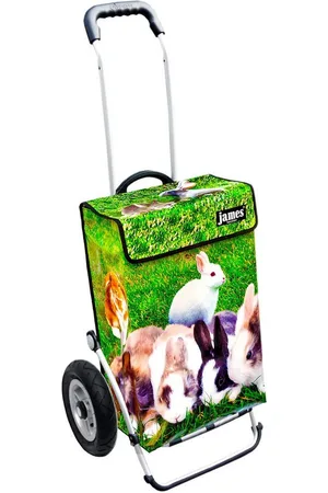 JAMES Einkaufstrolley RABBIT - stabiler Einkaufswagen mit individuellem Design, Handmade in Austria - Einkaufsbegleiter mit viel Stauraum - trägt 40kg - Verkäufer: Warenhaus 23