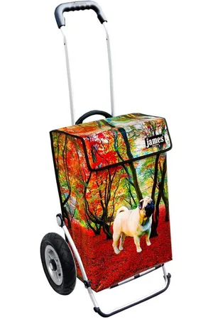 JAMES Einkaufstrolley MOPSI - stabiler Einkaufswagen mit individuellem Design, Handmade in Austria - Einkaufsbegleiter mit viel Stauraum - trägt 40kg - Verkäufer: Warenhaus 23