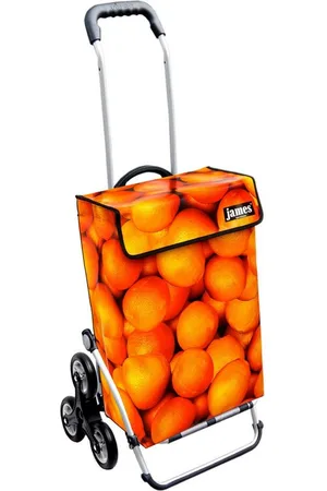 JAMES Einkaufstrolley - stabiler Einkaufswagen mit individuellem Design, Handmade in Austria - Einkaufsbegleiter mit viel Stauraum - trägt 40kg - Verkäufer: Warenhaus 23