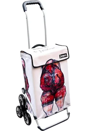 JAMES Einkaufstrolley MATTERSBERGER - stabiler Einkaufswagen mit individuellem Design, Handmade in Austria - Einkaufsbegleiter mit viel Stauraum - trägt 40kg - Verkäufer: Warenhaus 23
