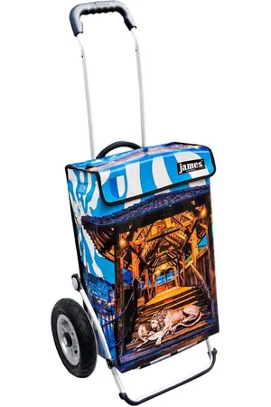 JAMES Einkaufstrolley LUZERN - stabiler Einkaufswagen mit individuellem Design, Handmade in Austria - Einkaufsbegleiter mit viel Stauraum - trägt 40kg - Verkäufer: Warenhaus 23