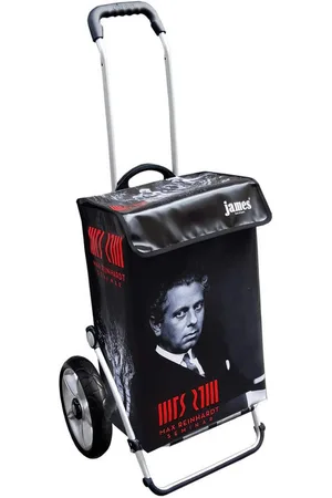 JAMES Einkaufstrolley MAX-REINHARDT - stabiler Einkaufswagen mit individuellem Design, Handmade in Austria - Einkaufsbegleiter mit viel Stauraum - trägt 40kg - Verkäufer: Warenhaus 23
