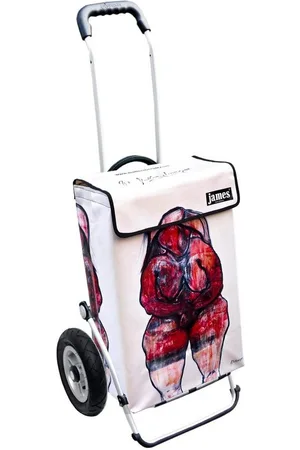 JAMES Einkaufstrolley MATTERSBERGER - stabiler Einkaufswagen mit individuellem Design, Handmade in Austria - Einkaufsbegleiter mit viel Stauraum - trägt 40kg - Verkäufer: Warenhaus 23
