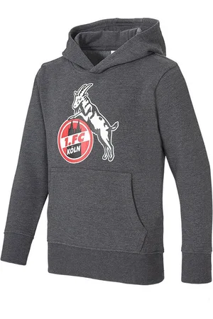 1. FC Köln Hoodie Hoodie Basic Anthrazit - Verkäufer: 247Group GmbH